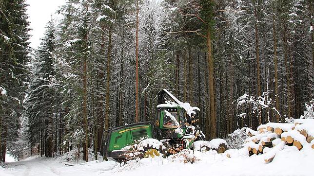 Holzfäll-Arbeiten haben im großen Stil im Wald des Tengener Stadtteils Wiechs am Randen bereits begonnen. Dort werden drei fast 200 ...