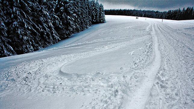 Hier am Ödland haben Quadfahrer tiefe Reifenspuren im Winterwanderweg und der daneben liegenden Loipe hinterlassen und damit einen ...