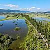 Der Bodensee ist an der Mooser Allee gefährlich nah an die Straße gerückt. Stellenweise steht die Straße auch halbseitig unter Wasser.