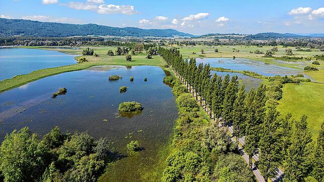 Der Bodensee ist an der Mooser Allee gefährlich nah an die Straße gerückt. Stellenweise steht die Straße auch halbseitig unter Wasser.