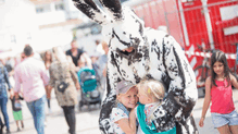 Bilder vom Seehasenfest 2019 wecken Erinnerungen.