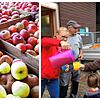 In Mostereien, wie in Reckingen, entsteht aus Äpfeln Apfelsaft.