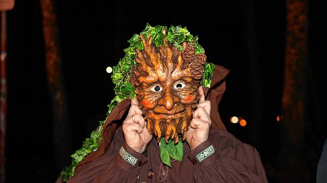 Bild : Konstanzer Fasnacht: Bilder vom Fackelumzug durch den Uniwald