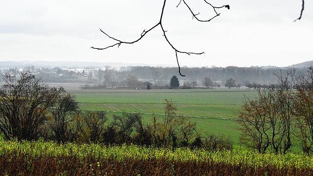 Auf der hinter den vorderen Büschen quer durch das Bild verlaufenden grünen Fläche soll ein Solarpark entstehen. Doch bis zur ersten ...