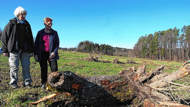 Bei Unterraderach wurden wertvolle Streuobstwiesen mit etwa 190 Bäumen gerodet: Brigitte Wallkam (links) vom BUND und Christine Kaptein ...