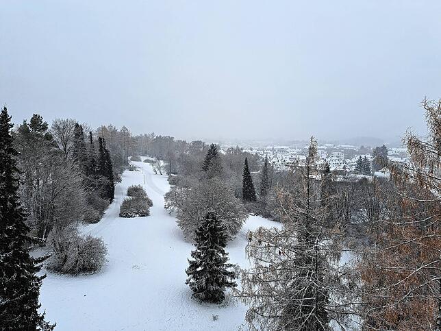 Schnee, so weit das Auge reicht. Der Blick vom Aussichtsturm Hubenloch.