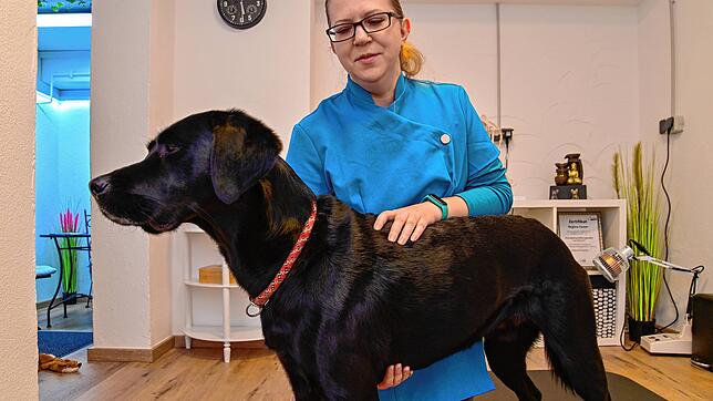 Regina Fester demonstriert, wie sei einen Hund abtastet, um mögliche Beschwerden zu erkennen und zu behandeln. ...