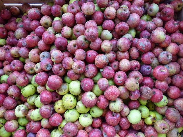 Wie aus Äpfeln Saft und Most wird, kann man beim Apfel(herz)fest im Deggenhausertal erleben.