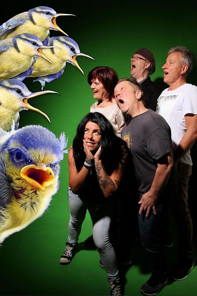 Auch &bdquo;The Roaring Tomtits&ldquo; (Die brüllenden Blaumeisen) treten beim großen Fest auf.