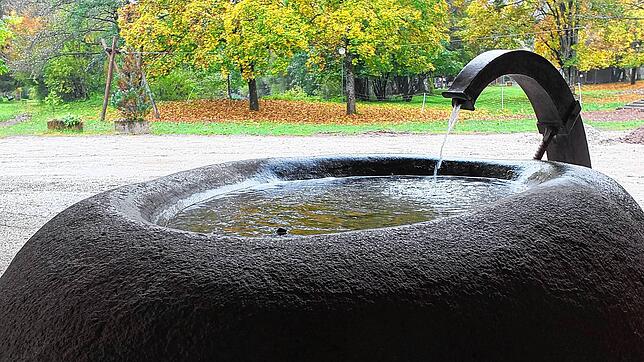 Aus zahlreichen Quellen kann Niedereschach seine Trinkwasserversorgung sicherstellen. Im Bild die Kappeler Quelle, die den Brunnen am ...