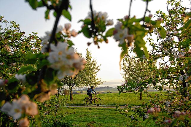 Bild 2: Hinaus in die Natur: Die besten Wander- und Fahrradtouren zwischen Bodensee, Hochrhein und Schwarzwald