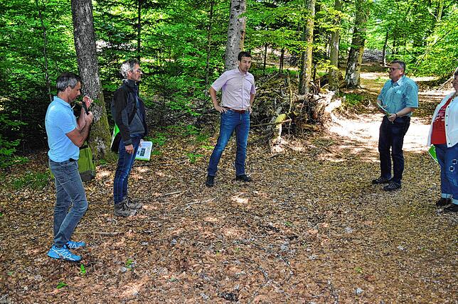 Vor Ort wurde die Besprechung im Wald fortgesetzt, und Möglichkeiten der örtlichen Gegebenheiten erläutert (von links): Wolfgang Naak, ...