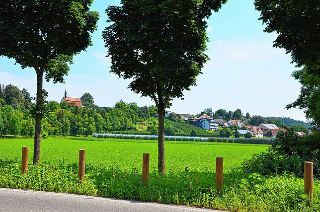 Ein Teil der Fläche, im Hintergrund ist Bergheim zu sehen, ist Hochwasserrisikogebiet. Sie liegt direkt an der Brunnisach,