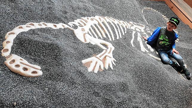 Tim Liam hat im Ausgrabungsfeld das Skelett eines Plateosaurus freigelegt.