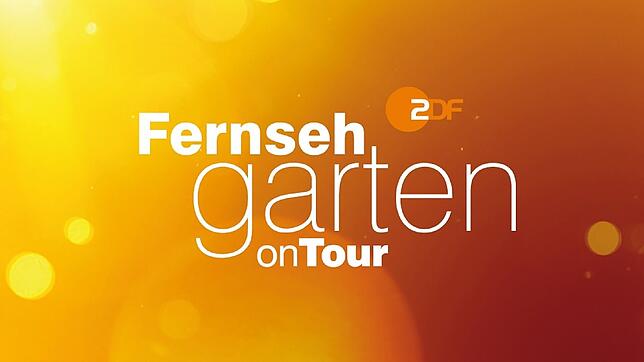 „Fernsehgarten on tour“ 2025 in der saarländischen Völklinger Hütte: Wir liefern Ihnen alles, was Sie über Termine, Gäste, Tickets sowie ...