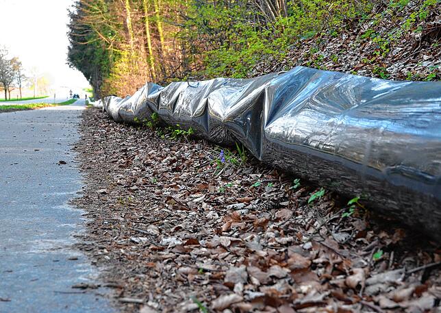 Seit einigen Tagen wieder abgebaut: der Krötenzaun zwischen Autenweiler und Grünwangen.