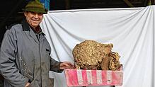Mega-Wespennest: Roland Indlekofer freut sich über das gefundene Kunstwerk, das Wespen über seiner Haustür geschaffen haben.