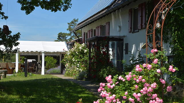 Die Galerie im Fehlochhof wartet nicht nur mit niveauvoller Kunst auf, sondern auch mit einer wunderschönen Landschaft und einem ...