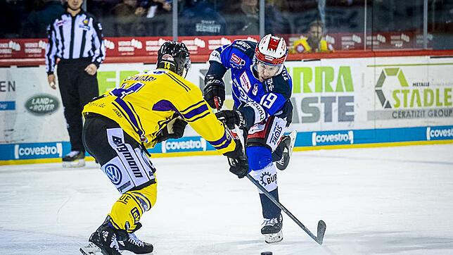 Bild : Bilder: Wild Wings vs. Krefeld Pinguine