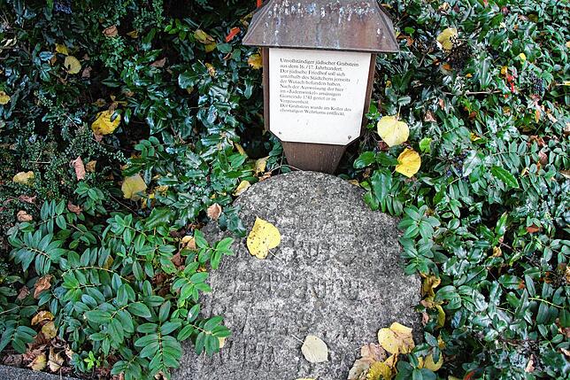Die Stühlingerin Edelgard Bernauer hat dafür gesorgt, dass der jüdische Grabstein unter der Stadtlinde platziert wurde, um an die ...