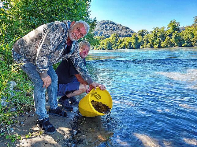 Peter Meier vom Klettgauer Angelsportverein Tiengen und Michael Friedetzky vom ASV Küssaberg setzen die Fische in den Rhein.