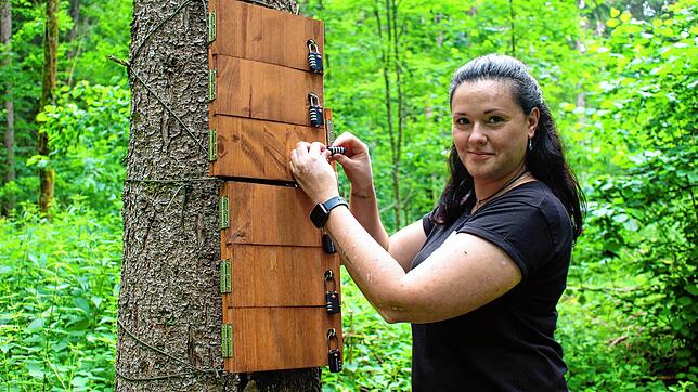 Nikolina Schmid hat ihr Outdoor Escape Game auch entwickelt, um die Menschen wieder ins Freie zu locken.
