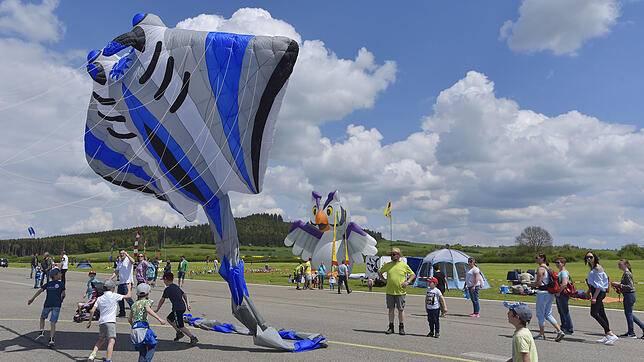 Nicht einfach, sie in die Luft zu bringen: Die faszinierenden Großdrachen müssen am Samstag und Sonntag mangels Wind zwangsläufig am ...