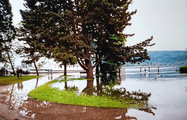 Bild 25: Jahrhunderthochwasser am Bodensee: Neue Bilder zeigen das Ausmaß