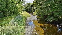 Ausgetrocknete Flussbette sind im heißen Sommer 2022 ein prägendes Bild. Hier die Breg in Hüfingen. Das Landratsamt ...