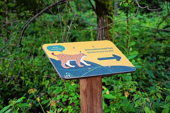 Klimawandelpfad und Trimm-Dich-Pfad beginnen beide gegenüber des ESV-Sportplatzes auf dem Waldshuter Mühleberg.