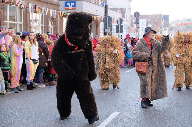 Bild 3: Bilder vom großen Narrenbaum-Umzug aller Singener Zünfte (Teil 1)