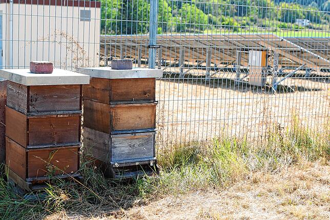 Sogar ein Imker hat zwei seiner Bienenstöcke an der Solaranlage angesiedelt, um seinen Bienen den Nektar der Blühwiesen anzubieten.