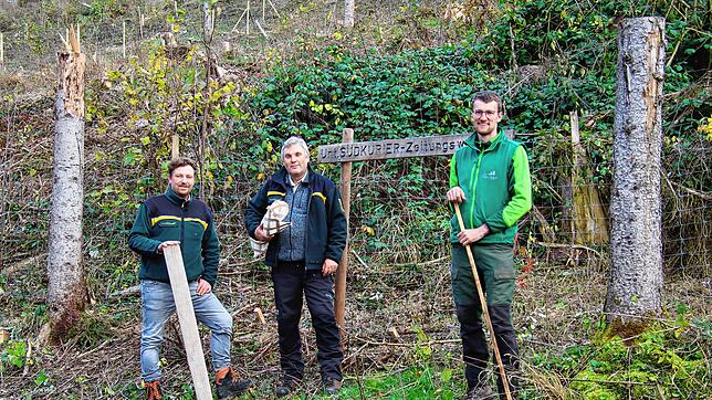 Benedikt Trefzer, Revierleiter im Staatswald Revier Seewangen, Thomas Emmerich, Forstbezirksleiter im Südschwarzwald, und Philipp Hölz, ...