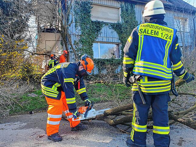 Die Feuerwehr entfernte Bäume und anderes Gehölz, um sich Zugang zu der Fassade zu verschaffen.