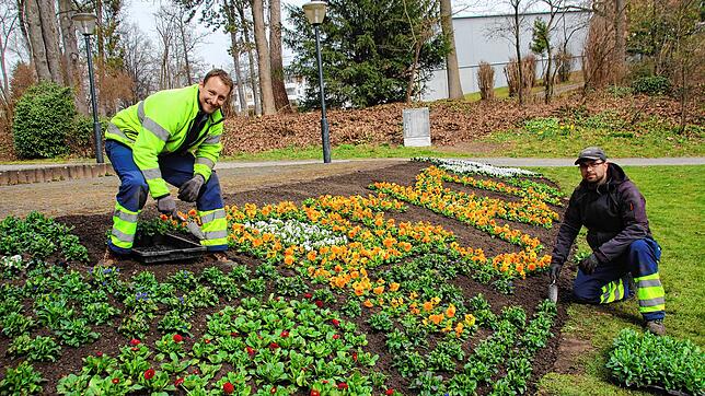 Jan Schmied (links) und Markus Steinmann (rechts) beim bepflanzen des ersten Beets im Stadtgarten.