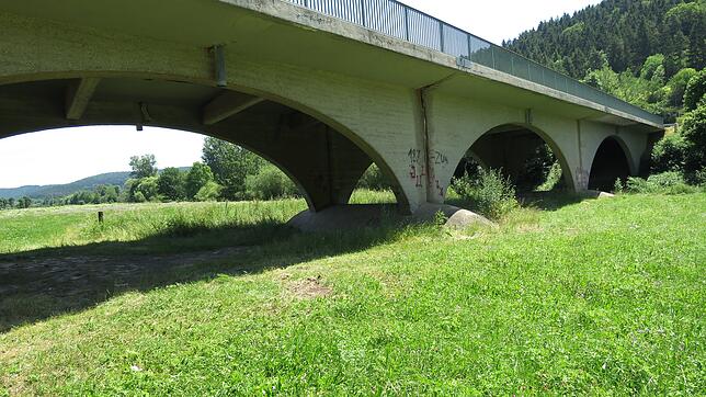 Die Donaubrücke in Geisingen ist eine Bogenscheibenbrücke. Sie wurde 1952 anstelle der früheren Schindelbrücke gebaut. Sie war eine der ...