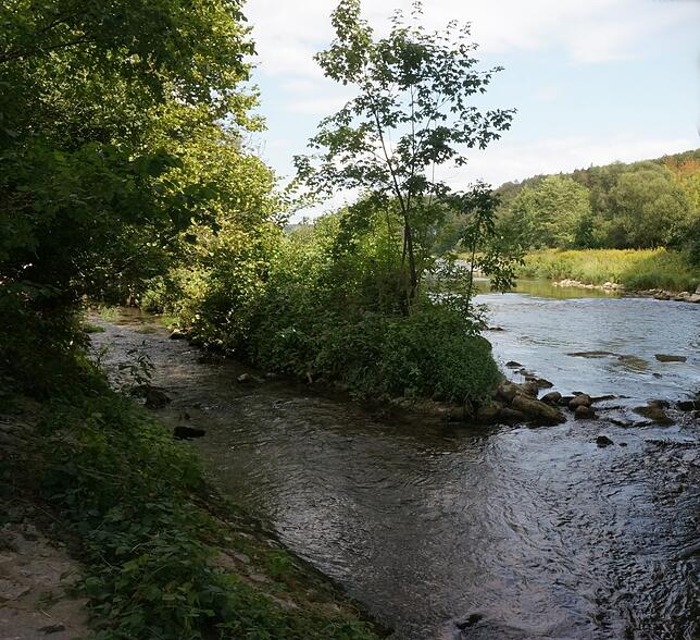 Natur pur: Viel Grün, Wasser und zahlreiche Wander- und Fahrradwege laden vor Tiengens Haustüren zum Unterwegssein und Verweilen ein.