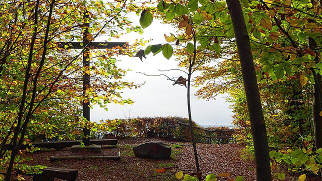 Der Friedwald Heiligenberg grenzt an einen der schönsten Aussichtspunkte nördlich des Bodensees.