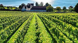 Fantastische Lage: Das Schloss Maurach direkt am Bodensee.