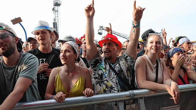 Bild : Bosse sorgt beim Southside für Stimmung