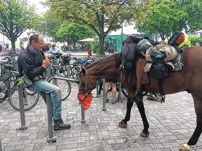 Stärkung für Pferd und Reiter am Überlinger Landungsplatz.