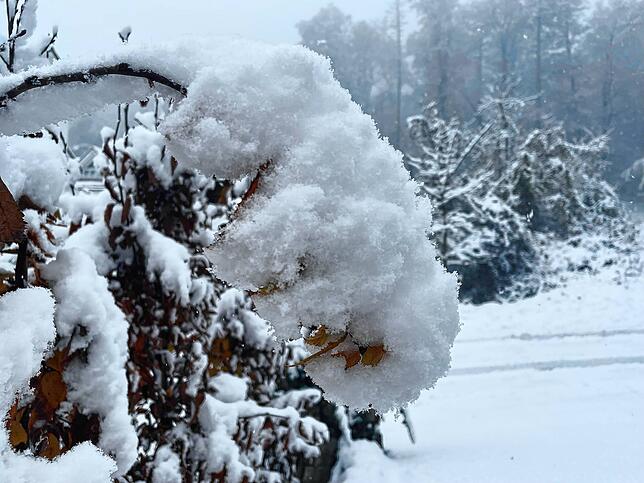 Winter auf dem Waldshuter Haspel: Auch hier hat es seit den frühen Morgenstunden geschneit.