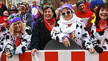 Bild : Bilder vom Fastnachtsumzug in Radolfzell (Teil 2)