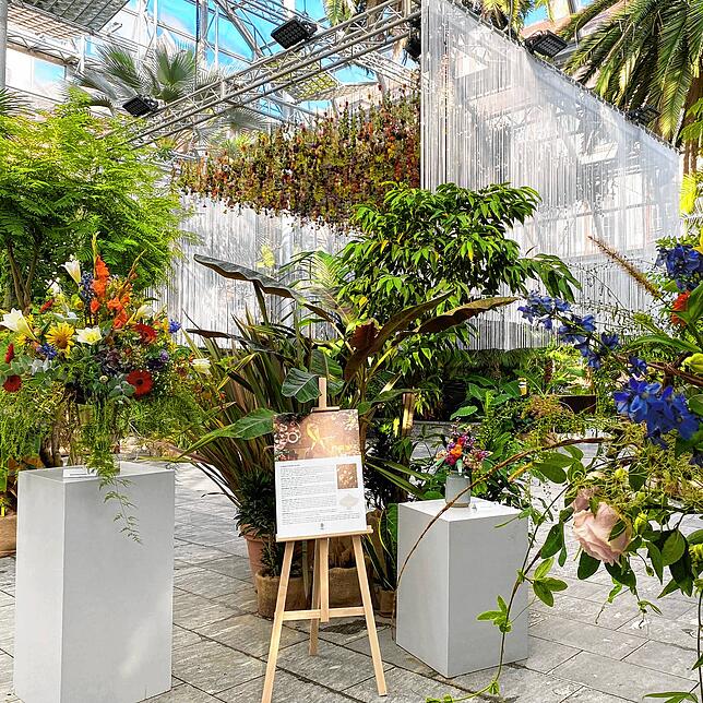 Unter dem Blütenhimmel der aktuellen Herbstausstellung im Palmenhaus der Insel Mainau wird Königin Silvia von Schweden während des ...