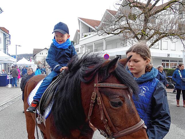 Der kleine Finn hat sich auf eines der Ponys gesetzt.