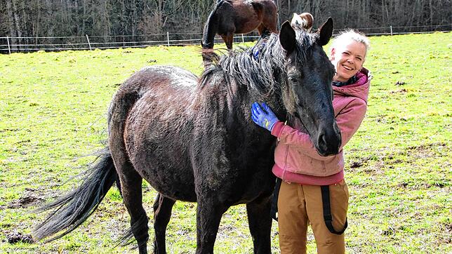 Sieglinde Müller entwickelte für den Öhninger Reitverein Löwenherz ein Patenschaftsprogramm für ihre 17 Schulpferde. Das erfolgreich ...