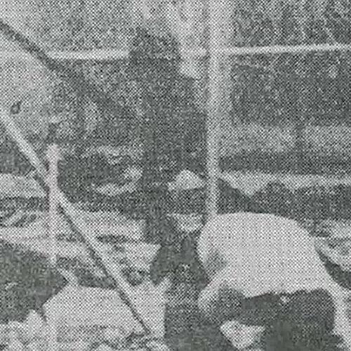 RAF-Anschlag am Bodensee: Was passierte 1986 in Immenstaad?