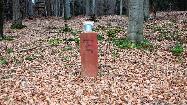 &bdquo;Ein Männlein steht im Walde, ganz still und stumm. Es hat von lauter Purpur ein Mäntlein um.&ldquo; In diesem Fall ist damit ...
