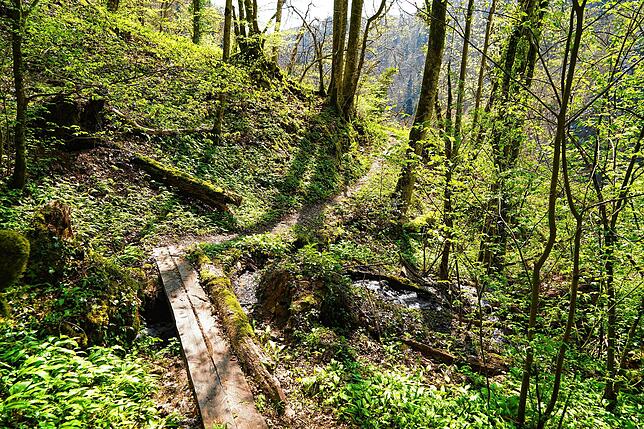 Der Hutpfad führt oberhalb der Schlücht über Stock und Stein, durch Wälder und über Bäche. Gutes Schuhwerk ist hier ein Muss.