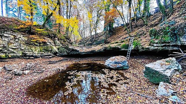 Mit dem Projekt &bdquo;Biodiversitätsorientierte Schwammlandschaft&ldquo; möchte der Verein Erlebbare Umweltbildung einen ...
